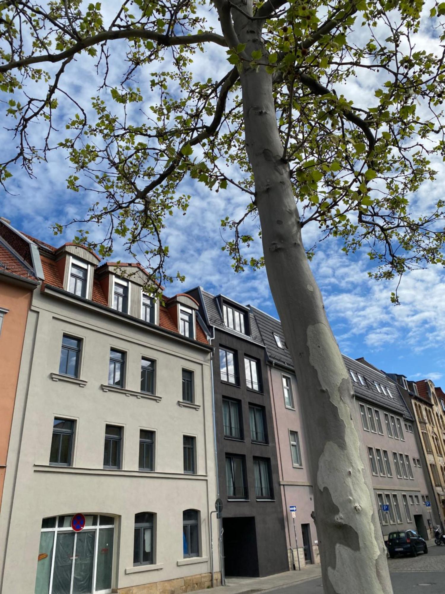 Eiwelhome - Stilvoll, Urban-Ruhig Schlafen, Bahnhofsnah, Balkon Erfurt Ngoại thất bức ảnh